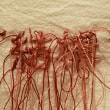 牛島光太郎の作品『scene』。文字を刺繍した物語性の強い作品。