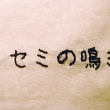牛島光太郎の作品『意図的な偶然』。日常生活で実際に拾ったモノや、思い入れのあるモノと文字を刺繍した布で構成する作品。
