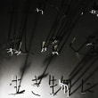 牛島光太郎の作品『届かなかった光の範囲』