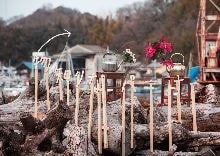 牛島光太郎の作品『組み合せの方法』。日用品を組み合わせたモノと壁に油性ペンで言葉(文字)を書いた作品。